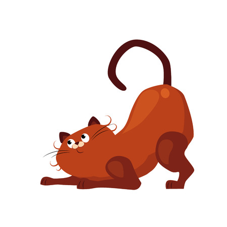 Stretching Cat Cute cat stretches in the morning Vector Illustrationのイラスト素材