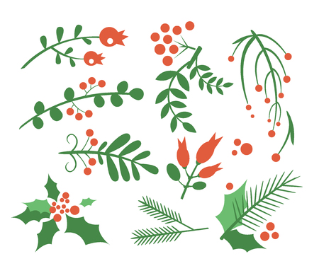 Red Berries, Branches Fir and Leaves. Flat Vector Illustration Setのイラスト素材
