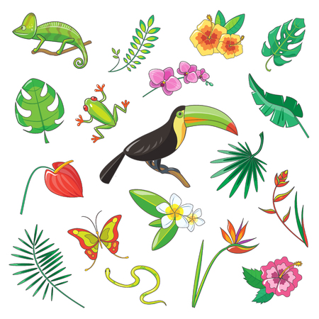 Tropical plants and animals icon vector setのイラスト素材