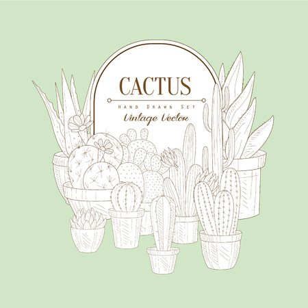 Cactus Set Vintage Vector Hand Drawn Design Cardのイラスト素材