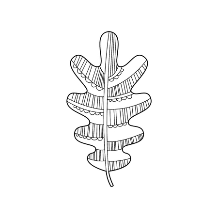 Oak Leaf Hand Drawnのイラスト素材