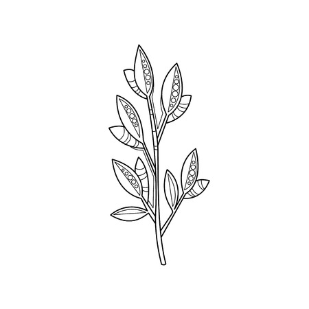 Branch Hand Drawnのイラスト素材