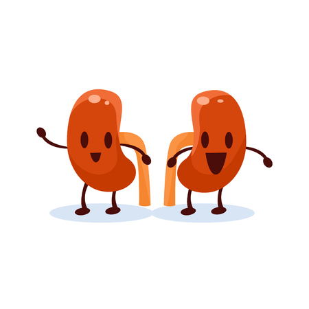 Kidneys Primitive Style Cartoon Character In Flat Childish Vector Design Illustration Isolated On White Backgroundのイラスト素材