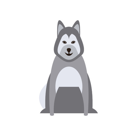 Malamute Dog Breed Primitive Cartoon Illustration In Simplified Vector Design Isolated On White Backgroundのイラスト素材