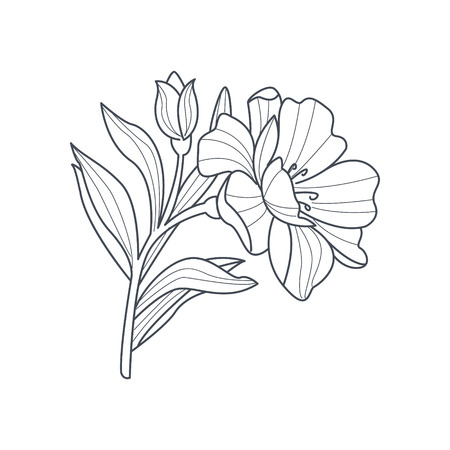 Drawing Flower Royalty Free Stock Illustrations And Vectors Stocklib