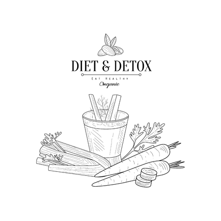 Vegetables And Celery Detox Hand Drawn Realistic Detailed Sketch In Classy Simple Pencil Style On White Backgroundのイラスト素材