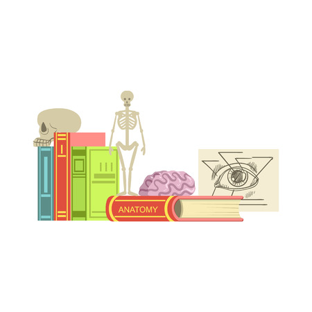 Anatomy Class Related Objects Composition, Simple Childish Flat Colorful Illustration On White Backgroundのイラスト素材