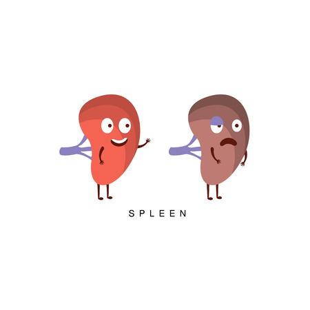 Healthy vs Unhealthy Spleen Infographic Illustration.Humanized Human Organs Childish Cartoon Characters On White Backgroundのイラスト素材