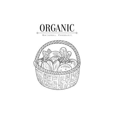 Wicker Basket With Organic Vegetables Hand Drawn Realistic Sketch. Hand Drawn Detailed Contour Illustration On White Background.のイラスト素材