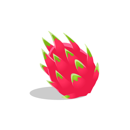 Dragon Fruit Whole Bright Icon. Isolated Vector Drawing Of Tropical Exotic Fruit On White Backgroundのイラスト素材
