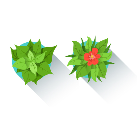 Two Decorative Table Plants Office Worker Desk Element, Part Of Workplace Tools And Stationary Collection Of Objects. Items For Fully Equipped Working Table Vector Illustration With View From Above.のイラスト素材