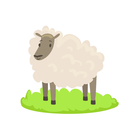 Sheep Farm Animal Cartoon Farm Related Element On Patch Of Green Grass. Colorful Vector Illustration With Farming And Rancho Associated Isolated Object.のイラスト素材