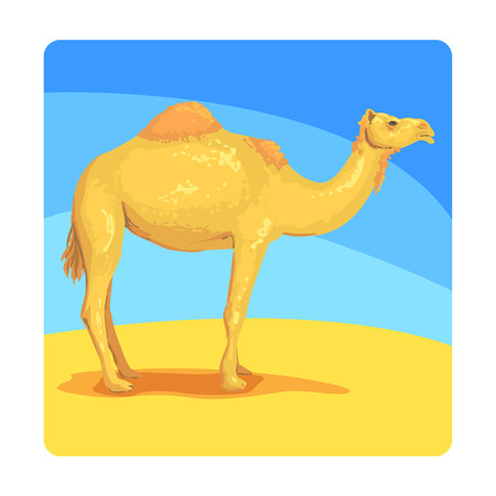 Camel Famous Touristic Attraction Of United Arab Emirates. Traditional Tourism Symbol Of Arabic Countryのイラスト素材