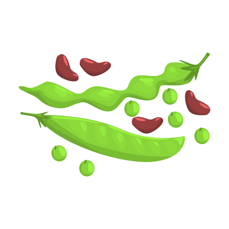 Green Bean And Peas Pods, Food Item Rich In Proteins, Important Element Of The Healthy Balanced Diet Vector Illustrationのイラスト素材