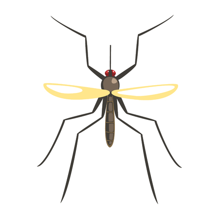 Mosquito insect colorful cartoon characterのイラスト素材