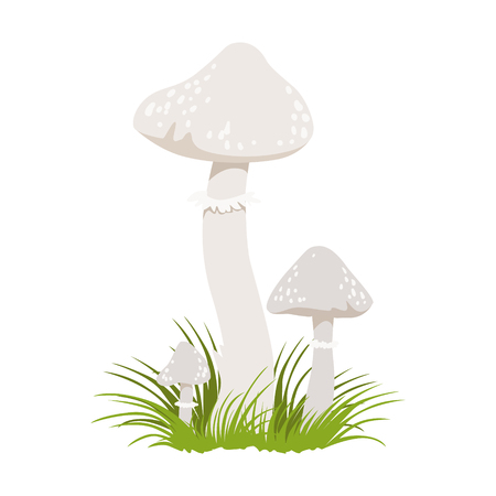 Amanita phalloides, poisonous mushrooms. Colorful cartoon illustrationのイラスト素材