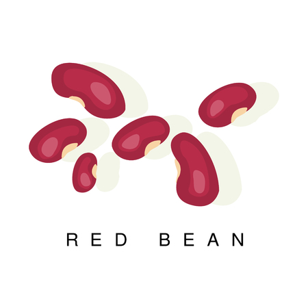 Red Bean , Infographic Illustration With Realistic Pod-Bearing Legumes Plant And Its Nameのイラスト素材