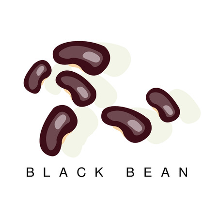 Black Bean, Infographic Illustration With Realistic Pod-Bearing Legumes Plant And Its Nameのイラスト素材