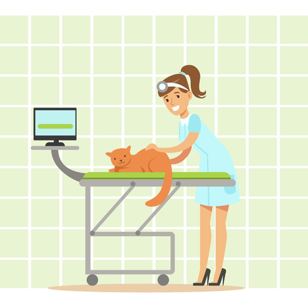 Smiling female veterinarian examining cat in vet clinic. Colorful cartoon character Illustration isolated on a white backgroundのイラスト素材