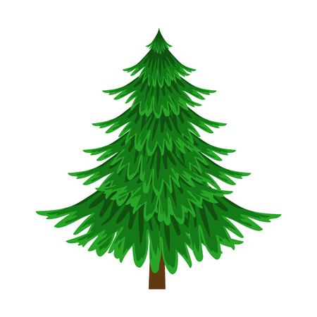 Spruce, evergreen tree, element of a landscape. Colorful cartoon vector Illustrationのイラスト素材