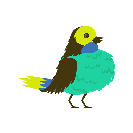 Tropical bird turquoise breasted vector Illustration isolated on a white backgroundのイラスト素材