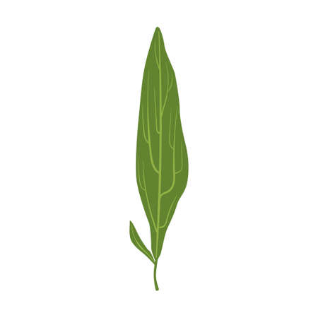 Arrayのイラスト素材