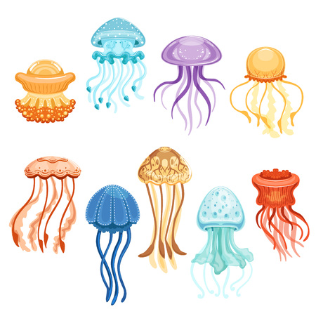 Colorful jellyfish set, swimming marine creatures watercolor vector Illustrations on a white backgroundのイラスト素材