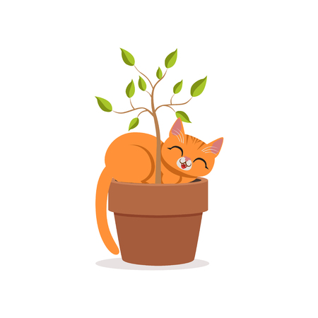 Cute funny red cat sleeping in a flower pot with a plant, home pet resting cartoon vector Illustrationのイラスト素材