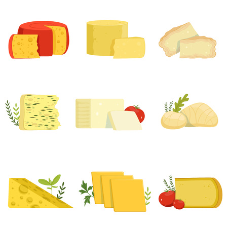 Different types of cheese pieces, popular kind of cheese vector Illustrationsのイラスト素材