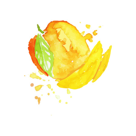Juicy ripe mango fruit watercolor hand painting vector Illustrationのイラスト素材