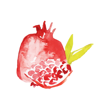 Juicy ripe pomegranate fruit watercolor hand painting vector Illustrationのイラスト素材