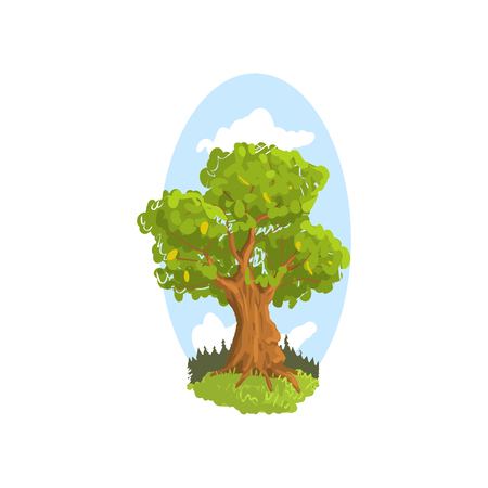 Landscape scene with forest or park tree. Deciduous tree with green foliage. Hand drawn woodland nature design element. Flat vector botanical illustrationのイラスト素材