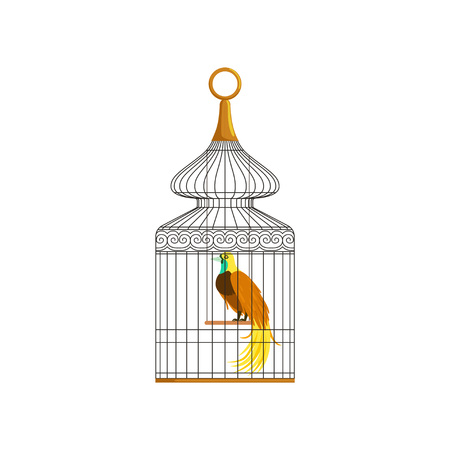 Colorful Bird With Long Feathers Sitting In Antique Metallic Cage