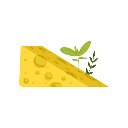 Triangular piece of Swiss cheese with green herbs. Tasty gourmet food. Healthy nutrition. Dairy product concept. Flat design for poster or flyer. Vector illustration isolated on white background.のイラスト素材