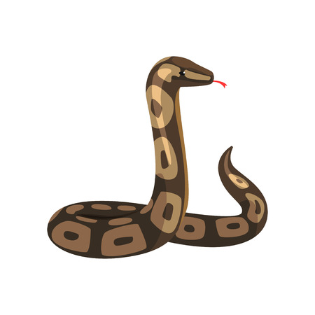 Tropical python pythonidae with tongue out. Large non-venomous dark-colored royal snake. Wild serpent. Exotic pet. Wildlife concept. Cartoon flat vector designのイラスト素材