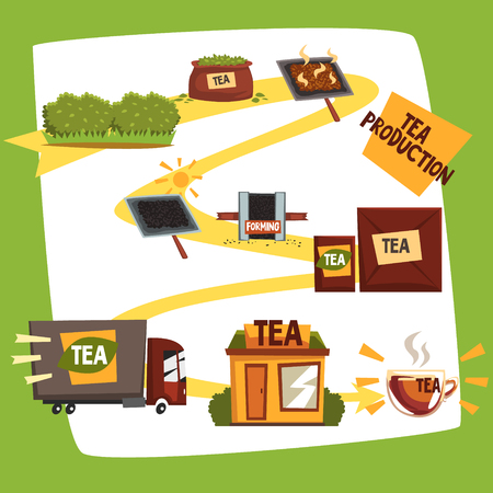 Tea production, tea manufacturing process from plantation to shop cartoon vector illustrationのイラスト素材
