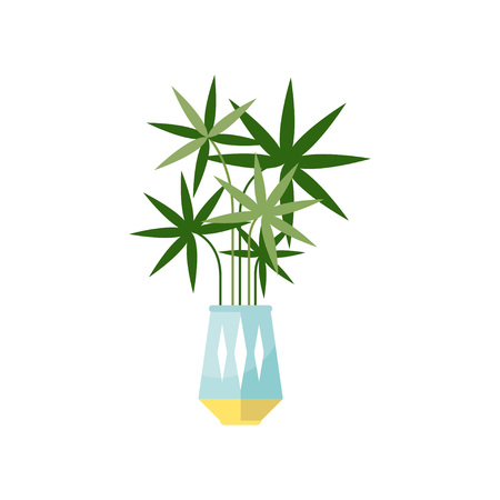 Palm tree house plant, indoor flower in pot, elegant home decor vector Illustrationのイラスト素材