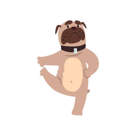 French bulldog working out yoga excercise, padangusthasana pose, funny dog practicing yoga cartoon vector Illustration on a white backgroundのイラスト素材