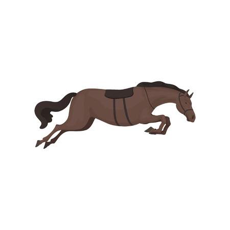Black running horse, equestrian professional sport vector Illustrationのイラスト素材