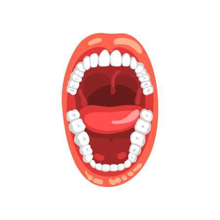 Open mouth vector Illustration isolated on a white background.のイラスト素材