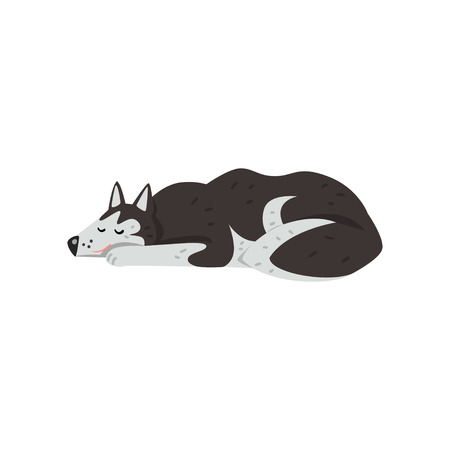 Siberian husky dog character sleeping vector Illustrations isolated on a white background.のイラスト素材