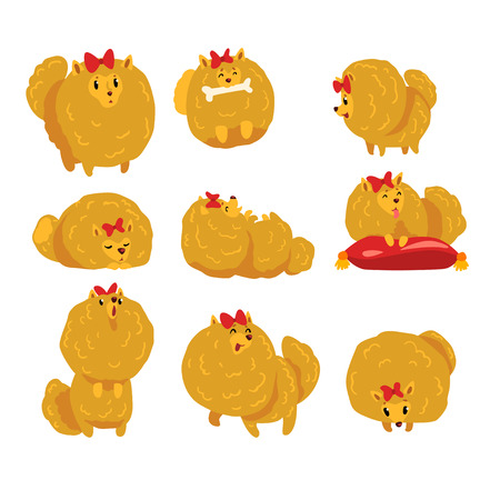 Cute funny pomeranian dog character in different actions set of vector Illustrations isolated on a white background.のイラスト素材