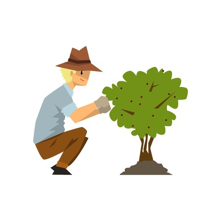 Male farmer picking berries from bush, gardener at work vector Illustration isolated on a white background.のイラスト素材
