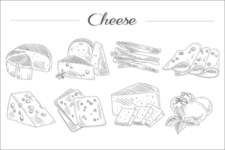 Hand drawn set of different types of cheese. Organic and fresh dairy products. Realistic sketch style icons. Monochrome vector design for decorationのイラスト素材