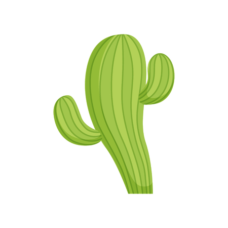 Cactus, traditional symbol of Mexico vector Illustration isolated on a white background.のイラスト素材