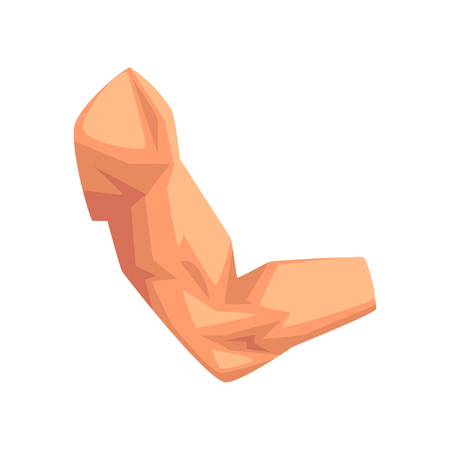 Male biceps, human body part vector Illustration on a white backgroundのイラスト素材