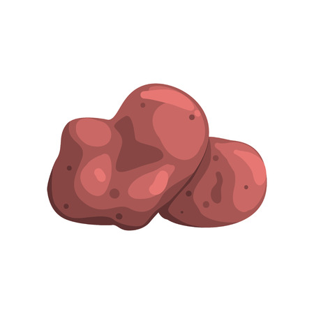 Raw whole unpeeled potato, healthy organic food concept vector Illustration on a white background.のイラスト素材