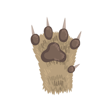 Paw of a cat animal vector Illustration on a white background