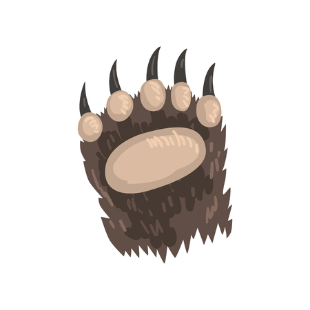 Bear animal paw vector Illustration on a white backgroundのイラスト素材