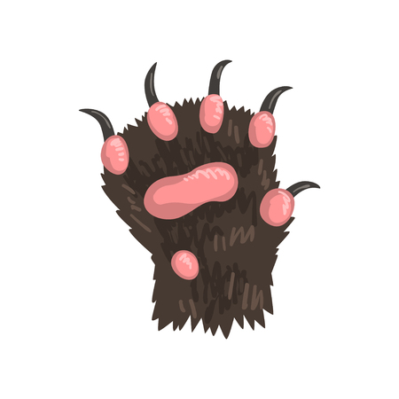 Grizzly bear animal paw vector Illustration on a white backgroundのイラスト素材